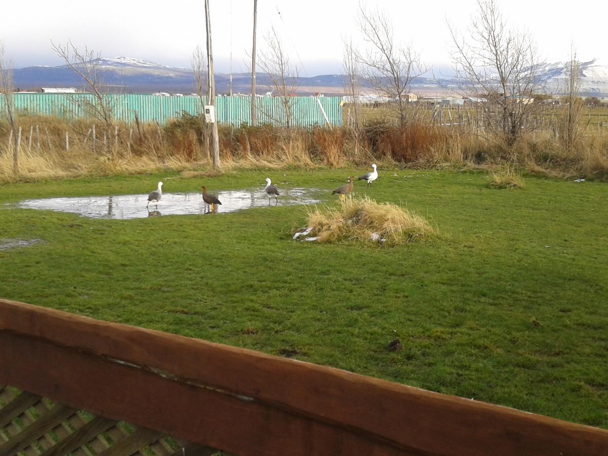 Cabañas Kauken Puerto Natales Bagian luar foto